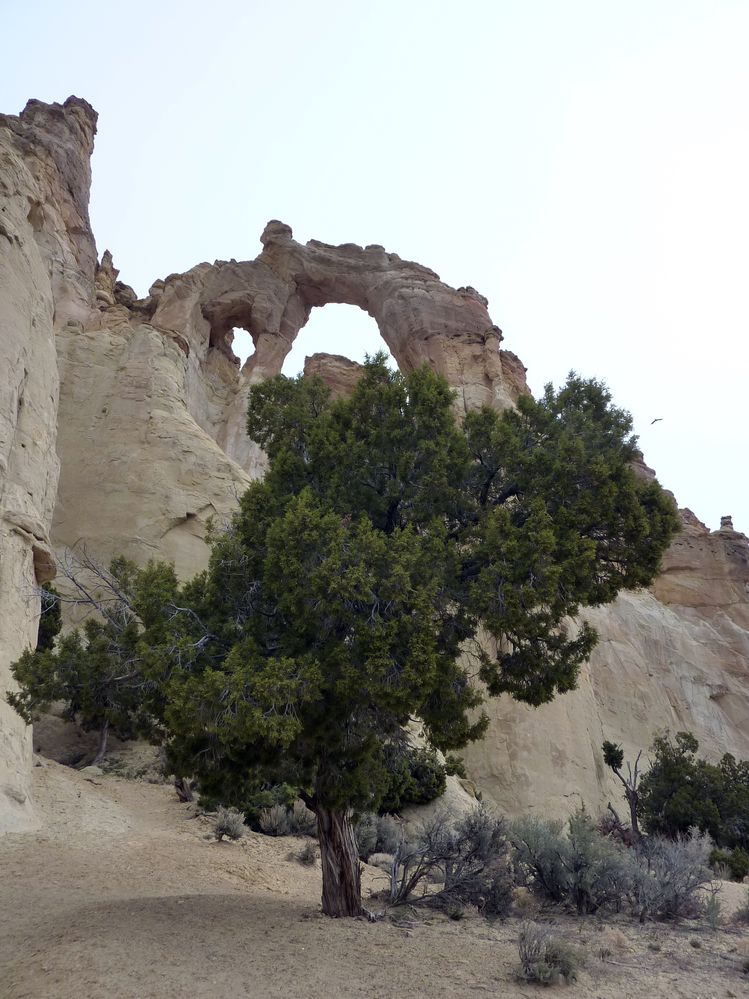 Grand Staircase - Escalante (20).JPG
